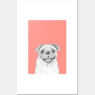 Pug Dog Portrait ( coral background ) Posters and Art